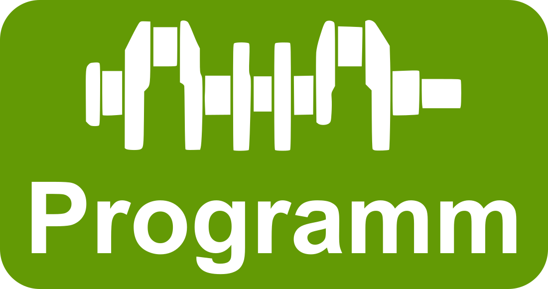 Button zum Herunterladen des Matlabprogrammes.